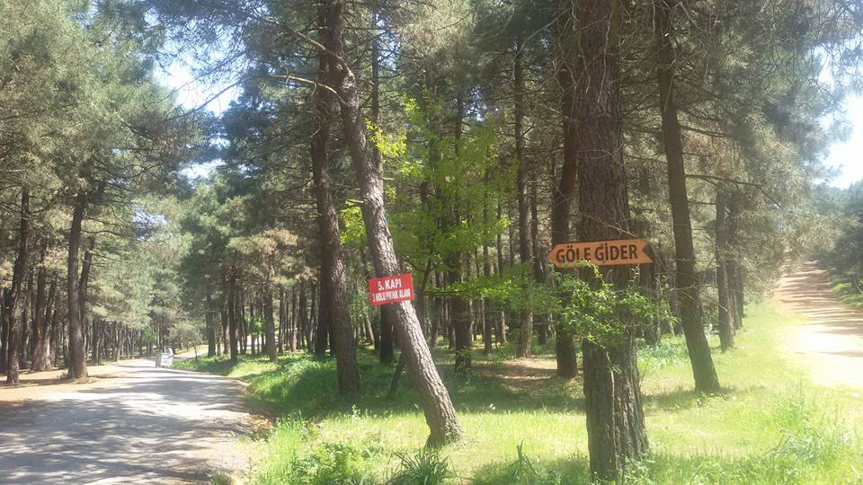 Hanak Çavdarlı Köyü Resimleri 11