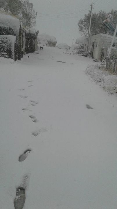 Hanak Çavdarlı Köyü Resimleri 2