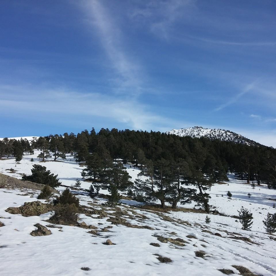 Alucra Armutlu Köyü Resimleri 11