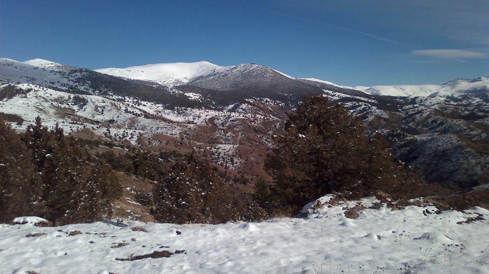 Alucra Armutlu Köyü Resimleri 3