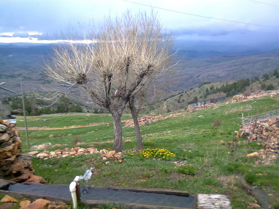 Alucra Armutlu Köyü Resimleri 9