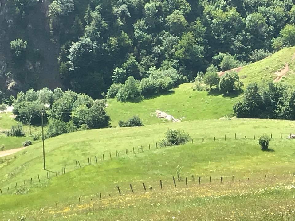 Alucra Çakrak Köyü Resimleri 15