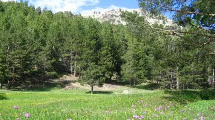 Alucra Çakrak Köyü Resimleri 3