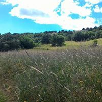 Alucra Demirözü Köyü Resimleri 2