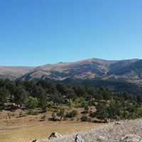 Alucra Demirözü Köyü Resimleri 3