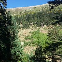 Alucra Demirözü Köyü Resimleri 5