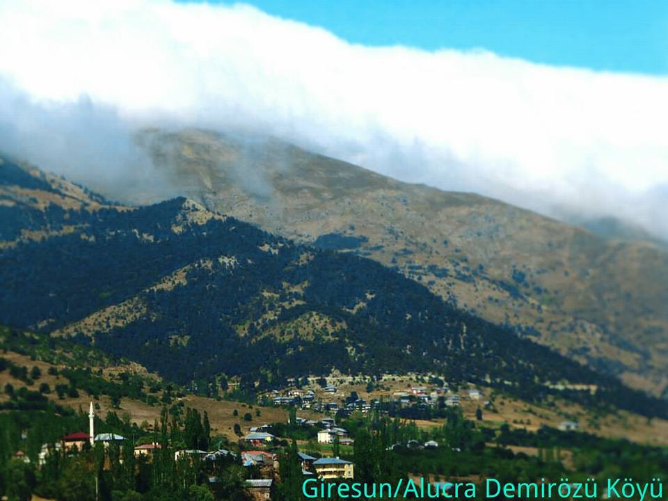 Alucra Demirözü Köyü Resimleri 6