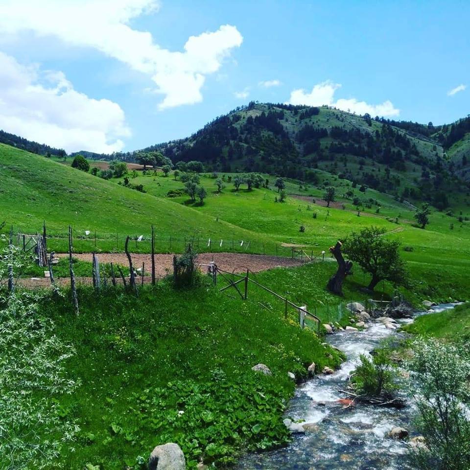 Alucra Elmacık Köyü Resimleri 6