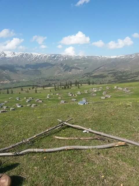 Artvin Ardanuç Bulanık Köyü Resimleri 10