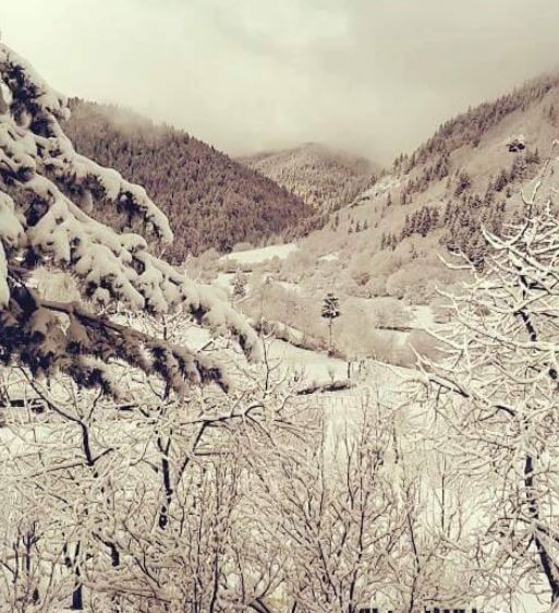 Artvin Ardanuç Bulanık Köyü Resimleri 22