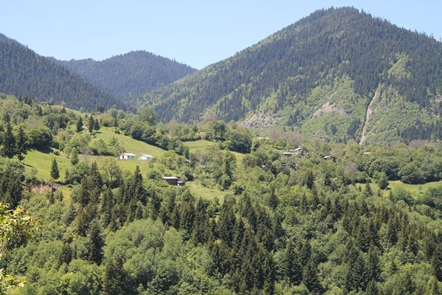 Artvin Ardanuç Bulanık Köyü Resimleri 23