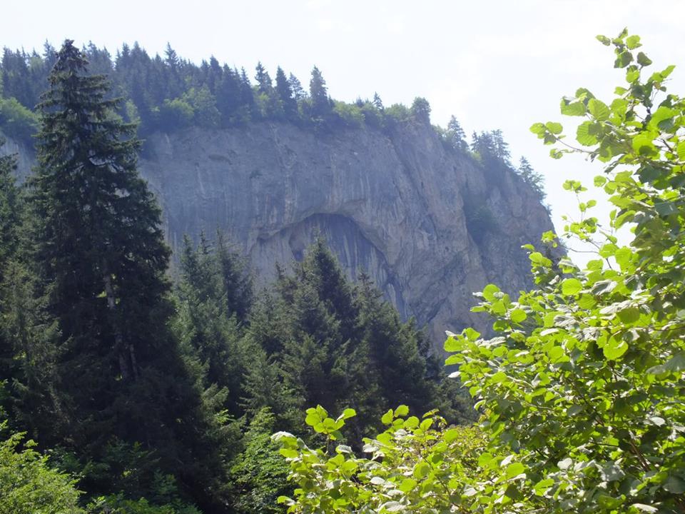 Artvin Ardanuç Bulanık Köyü Resimleri 24