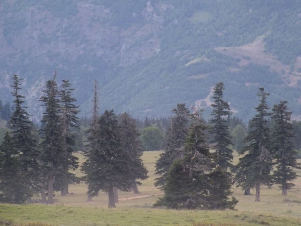 Artvin Ardanuç Bulanık Köyü Resimleri 25