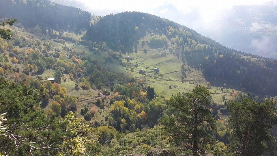 Artvin Ardanuç Bulanık Köyü Resimleri 26