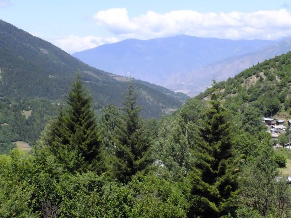 Artvin Ardanuç Bulanık Köyü Resimleri 29