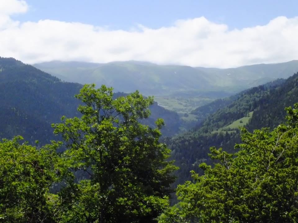 Artvin Ardanuç Bulanık Köyü Resimleri 30