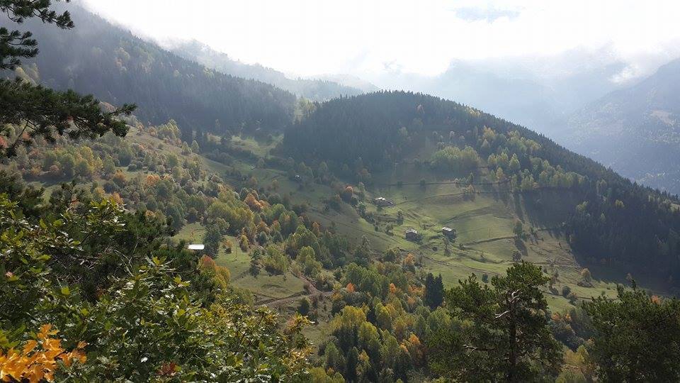 Artvin Ardanuç Bulanık Köyü Resimleri 41