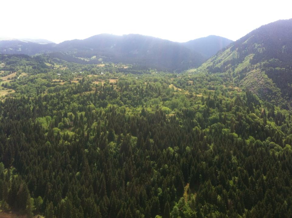 Artvin Ardanuç Bulanık Köyü Resimleri 43