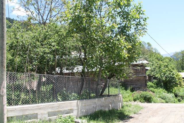 Artvin Ardanuç Bulanık Köyü Resimleri 46