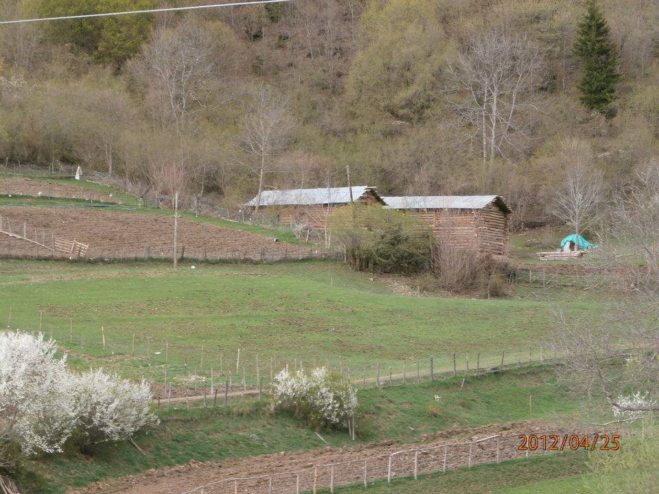 Artvin Ardanuç Bulanık Köyü Resimleri 50