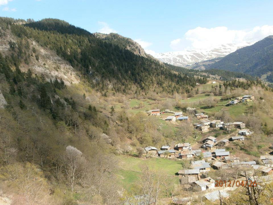 Artvin Ardanuç Bulanık Köyü Resimleri 51