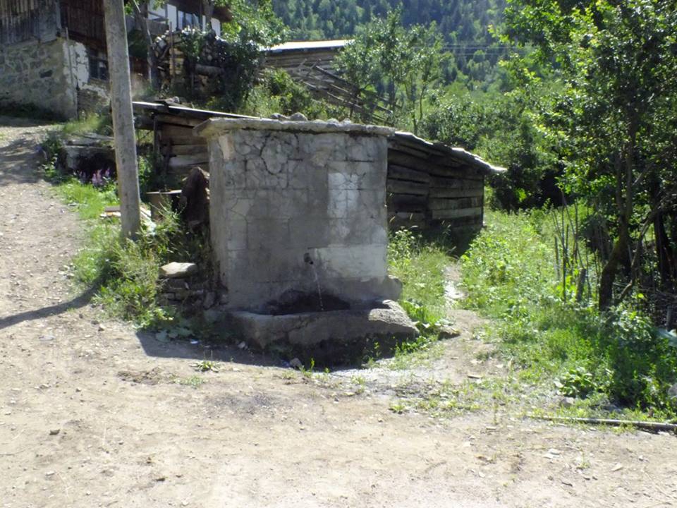 Artvin Ardanuç Bulanık Köyü Resimleri 55