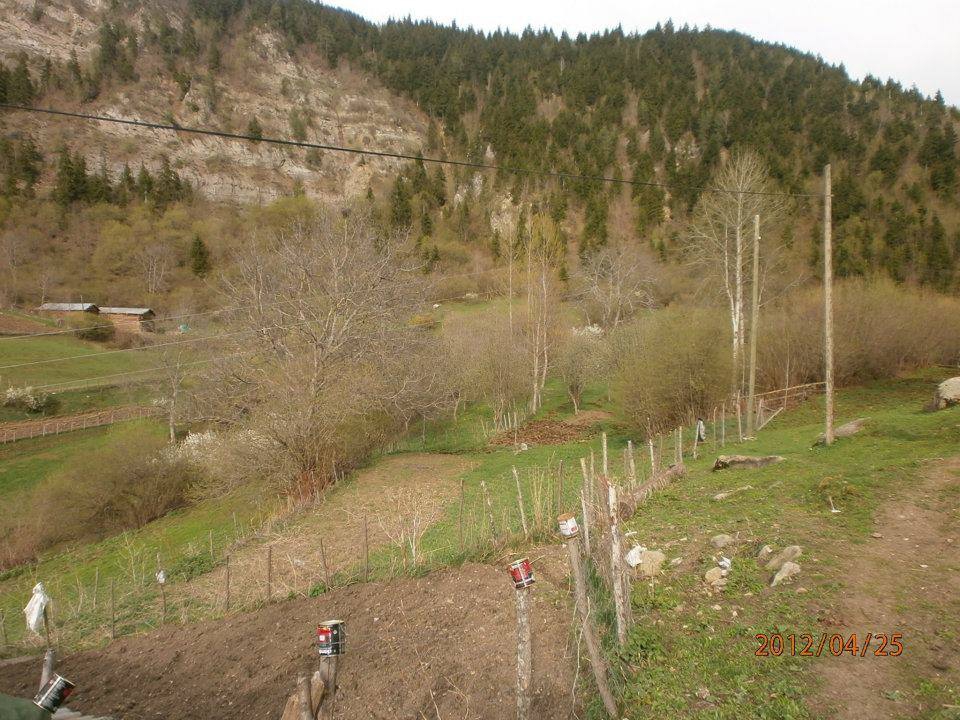 Artvin Ardanuç Bulanık Köyü Resimleri 60