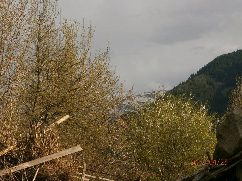 Artvin Ardanuç Bulanık Köyü Resimleri 61