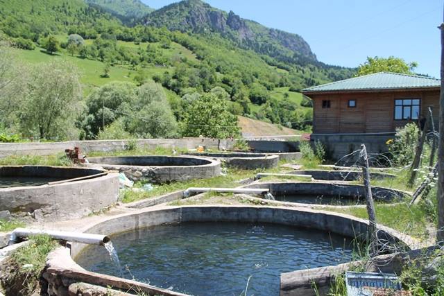 Artvin Ardanuç Bulanık Köyü Resimleri 7