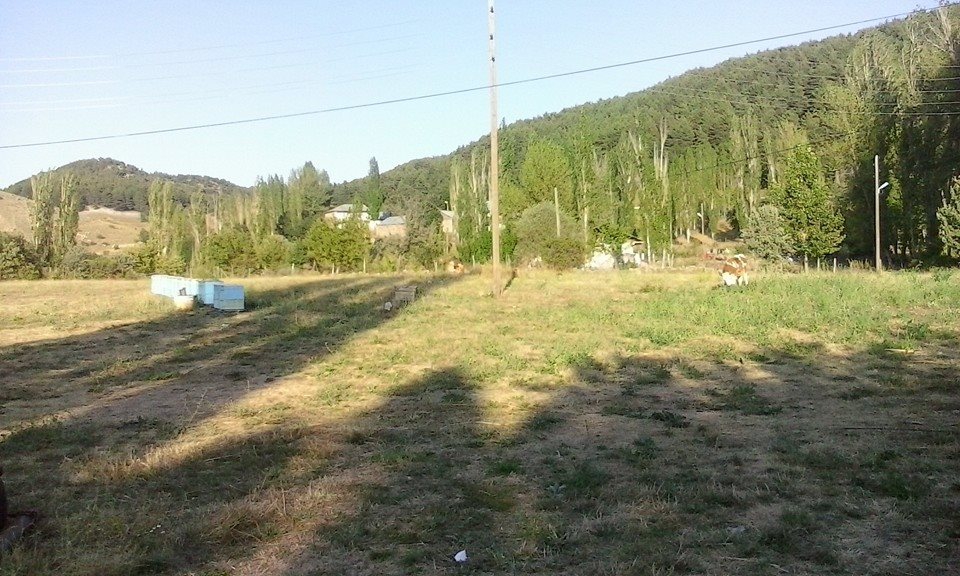 Alucra Günügüzel Köyü Resimleri 2