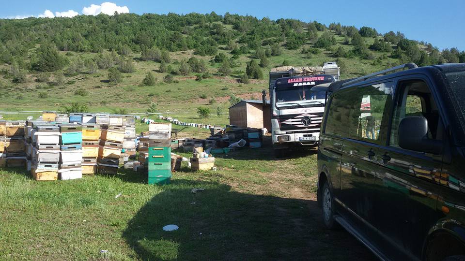 Alucra Hacıhasan Köyü Resimleri 1