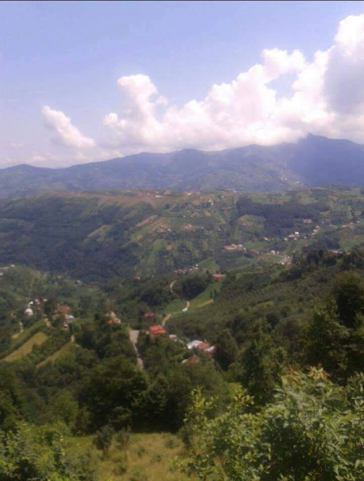 Akçaabat Kuruçam Köyü resimleri 1