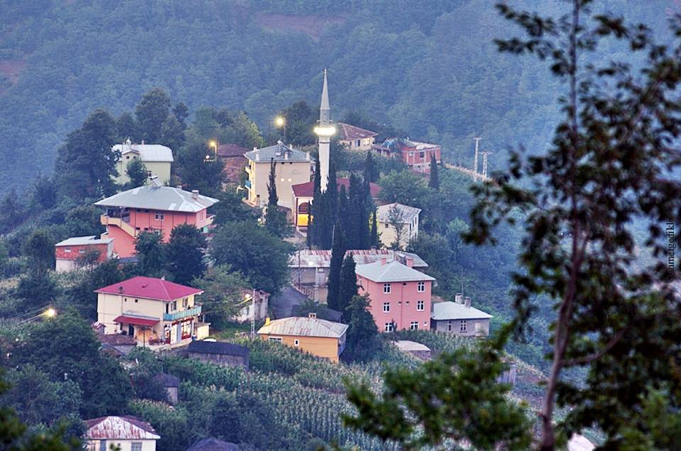 Akçaabat Kuruçam Köyü resimleri 10