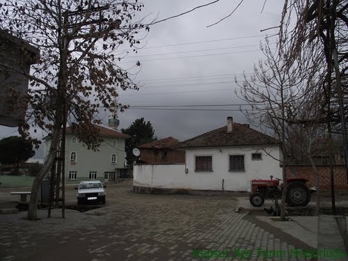 Kepsut Dedekaşı Köyü Resimleri 2