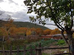 Kepsut Dedekaşı Köyü Resimleri 3