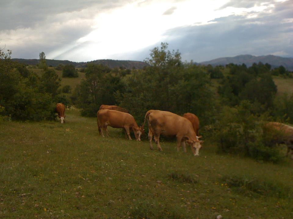 Alucra Pirili Köyü Resimleri 2