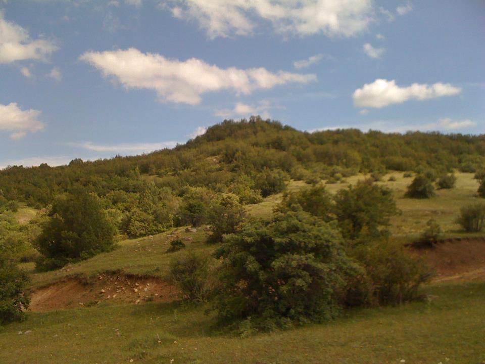 Alucra Pirili Köyü Resimleri 4