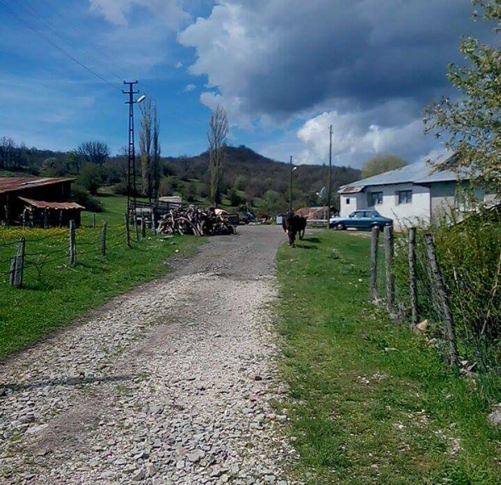 Alucra Pirili Köyü Resimleri 5