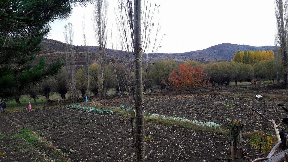 Alucra Subaşı Köyü Resimleri 12