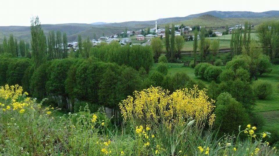 Alucra Subaşı Köyü Resimleri 2