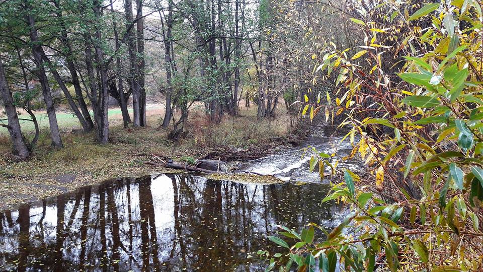 Alucra Subaşı Köyü Resimleri 3