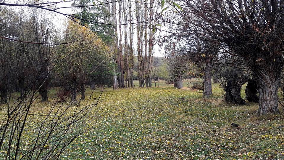 Alucra Subaşı Köyü Resimleri 7