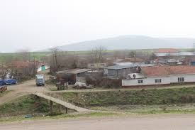 Manyas Çakırca Köyü Resimleri 3