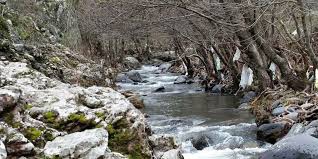 Manyas Değirmenboğazı Köyü Resimleri 8