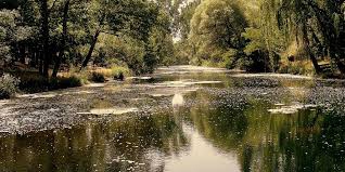 Manyas Değirmenboğazı Köyü Resimleri 9