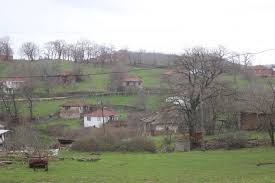 Manyas Karakabaağaç Köyü Resimleri 4