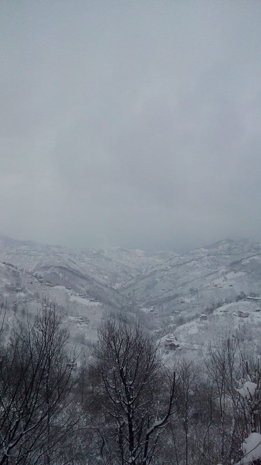 Akçaabat Sarıca Köyü Resimleri 3
