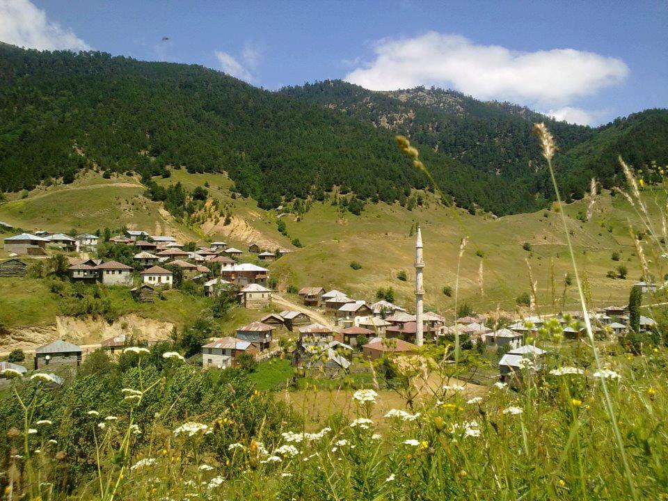 Alucra Tohumluk Köyü Resimleri 1