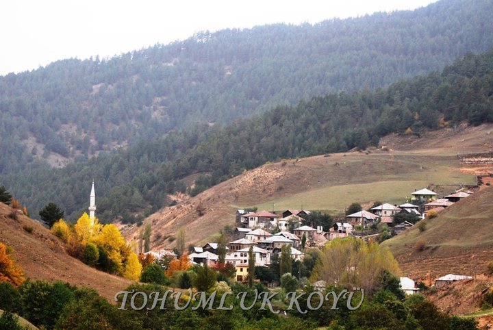 Alucra Tohumluk Köyü Resimleri 2