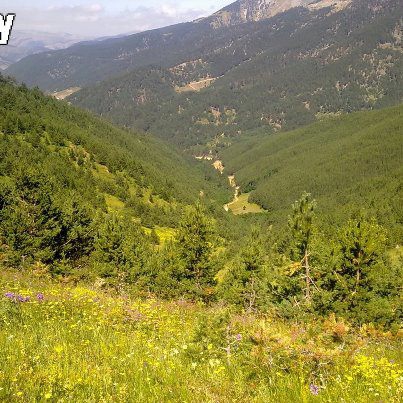 Alucra Tohumluk Köyü Resimleri 3